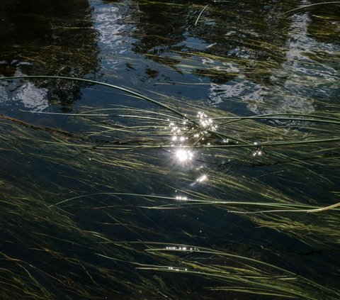 Viral Penemuan Desa Purba Berusia 8000 Tahun di Dasar Danau, Kok Bisa?