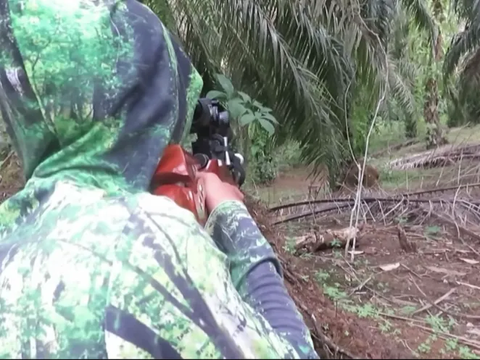 Sniper Sampai Turun Tangan Tembak 3 Ekor Biawak di Tengah Hutan Kelapa Sawit, Ayam Warga Kerap Dimangsa