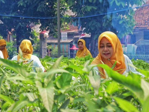 Berkat “BRInita”, Teh Herbal Jadi Produk Unggulan Poktan Bensor Semarang