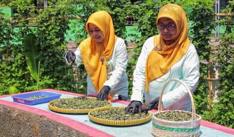 Hal ini karena sayur mayur yang menjadi hasil panen tersebut bisa dimanfaatkan untuk memenuhi kebutuhan anggota maupun masyarakat lainnya.