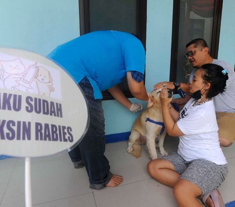 FOTO: Wujudkan Indonesia Bebas Rabies 2030, Anjing dan Kucing di Depok Divaksin Massal