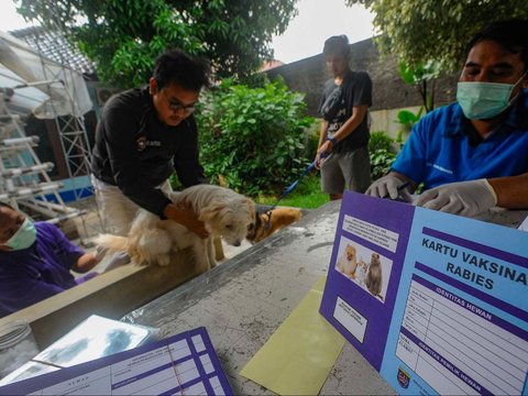 FOTO: Wujudkan Indonesia Bebas Rabies 2030, Anjing dan Kucing di Depok Divaksin Massal