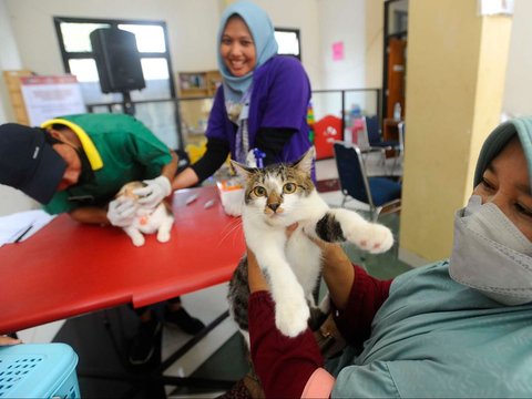 FOTO: Wujudkan Indonesia Bebas Rabies 2030, Anjing dan Kucing di Depok Divaksin Massal