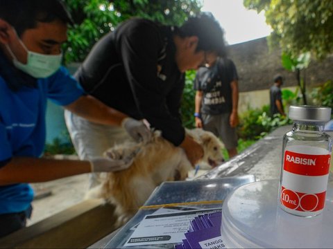 FOTO: Wujudkan Indonesia Bebas Rabies 2030, Anjing dan Kucing di Depok Divaksin Massal