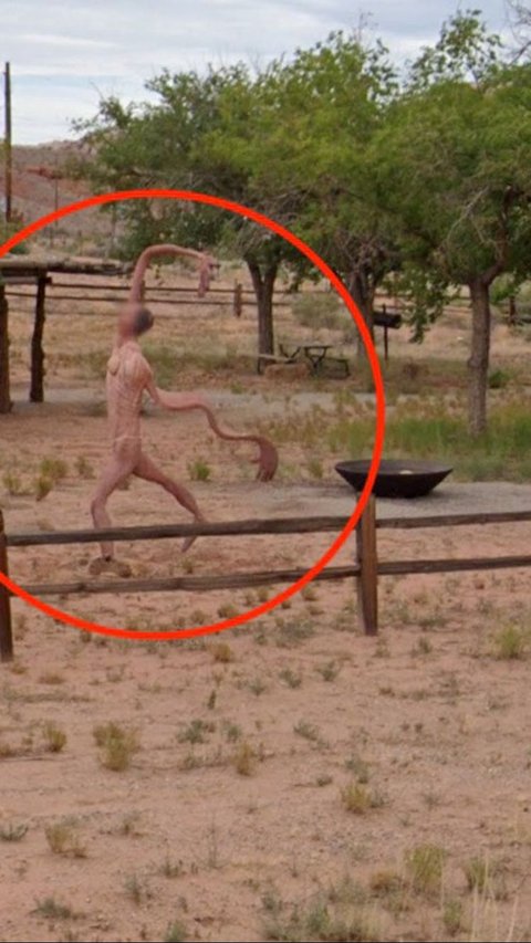 Shocking! Google Street View Captures Terrifying Creature with Stretchable Arms, Surprisingly Relieving