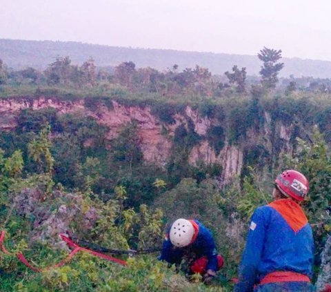 Gua Sebesar Stadion Ini Punya Hutan Bawah Tanah Eksotis, Hidden Gems Tuban yang Berpotensi Viral