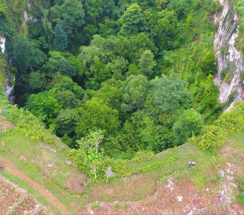 Gua Sebesar Stadion Ini Punya Hutan Bawah Tanah Eksotis, Hidden Gems Tuban yang Berpotensi Viral