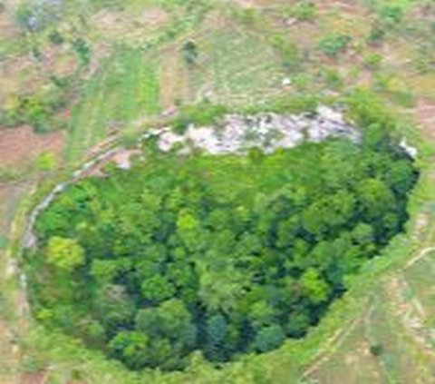 Gua Sebesar Stadion Ini Punya Hutan Bawah Tanah Eksotis, Hidden Gems Tuban yang Berpotensi Viral