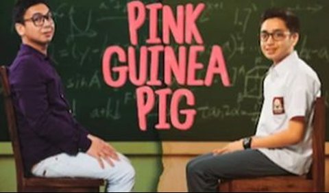 Pink Guinea Pig