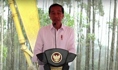 PNS Khawatir di IKN Nusantara Tak Ada Mal, Jokowi Beri Jawaban Begini