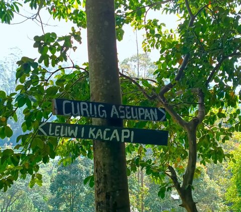 Menikmati Keindahan Curug Aseupan di Lembang, Serasa di Taman Batu