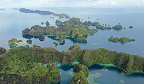 Lonely Planet mengakui Raja Ampat sebagai destinasi ekowisata terbaik, dengan proyek restorasi koral yang sukses dan dijuluki sebagai 