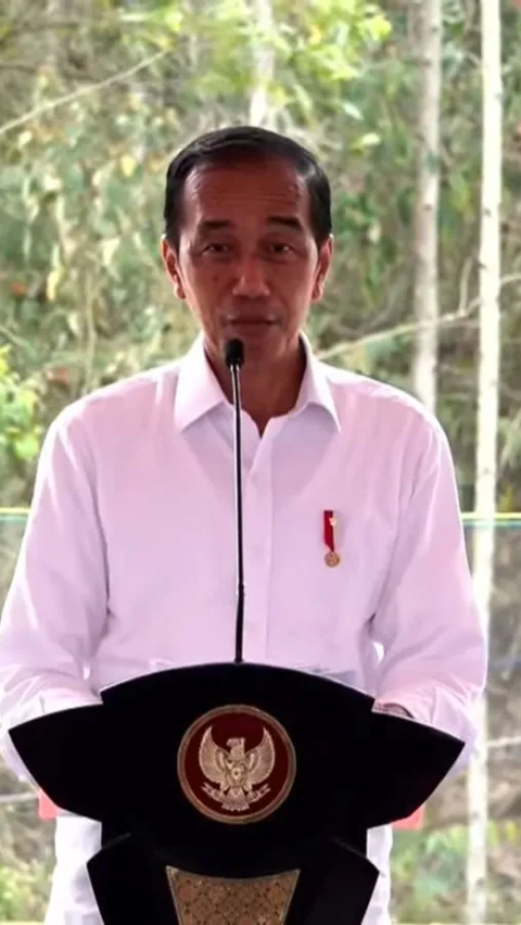 Jokowi Ingin Contoh Guyana: Kekayaan Negara Digarap Swasta Bukan BUMN, Maaf Pak Erick