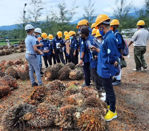 Bentuk Subholding PalmCo dan SupportingCo , PTPN III Ingin Indonesia Lepas Jeratan Impor Pangan