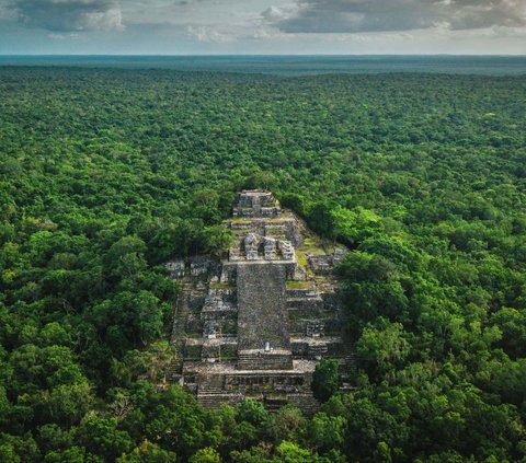 Bangunan Kuno Pemujaan Dewa Ular Ditemukan di Tengah Hutan Belantara, Begini Bentuknya