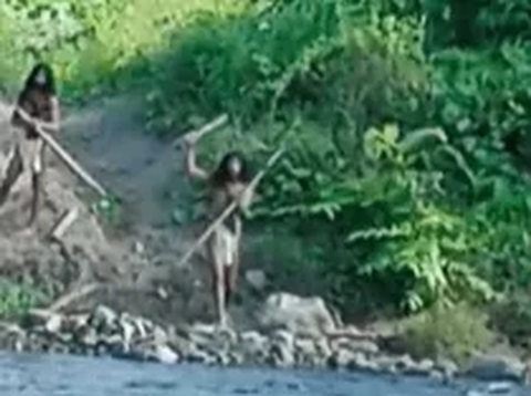 Video Mencekam Suku Terasing Halmahera Marah Lihat Buldoser di Hutan, Siap Lepaskan Panah