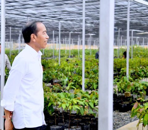 Jokowi: Next Year IKN is Established, Who Said So?