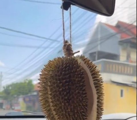 Viral Pengendara Gantung Durian Terbuka Buat Pengharum Mobil, Warganet: Belum Naik Udah Pingsan Duluan