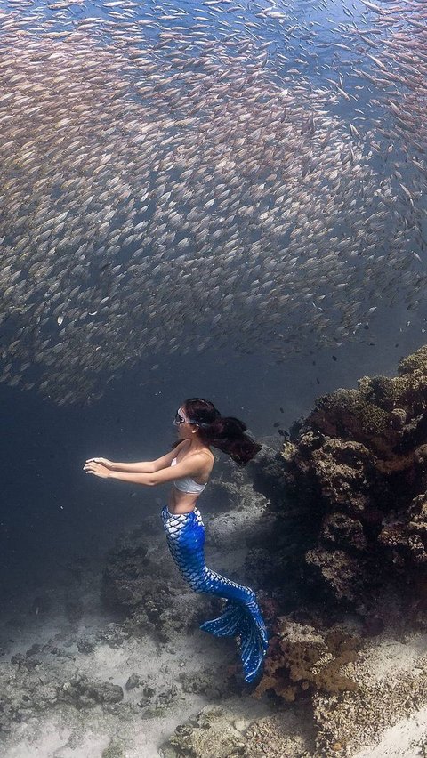 Wanita Indonesia Pecahkan Rekor Dunia Freediving Hingga 71 Meter, ini Sosoknya Dikenal jadi Putri Duyung