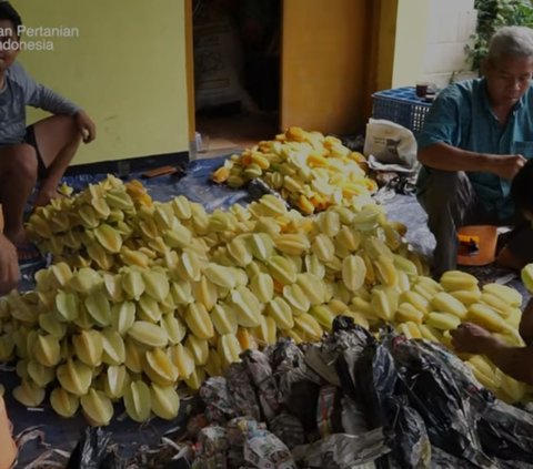 Ketertarikan Nanang menjadi petani setelah Kementerian Pertanian membuat gerakan sadar pangan dan gizi. Lagi pula, latarbelakang keluarga Nanang sebenarnya adalah petani.