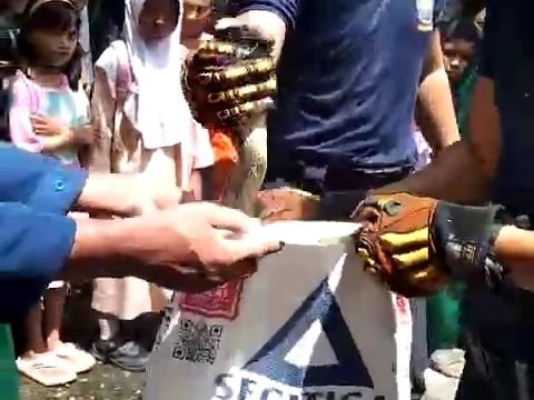 Heboh Penampakan Ular Piton Muncul di Kloset Sekolah Dasar di Riau, Damkar Turun Tangan