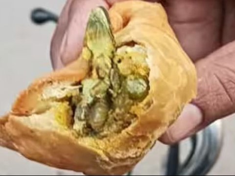 Disgusting! Eating Indian Specialty 'Bonus' Lizard Corpse Lupia