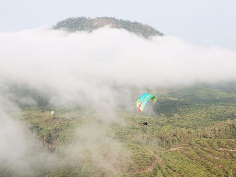 Menikmati Keindahan Negeri di Atas Awan