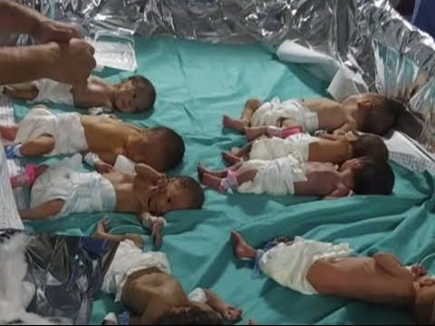 Potret Haru 28 Bayi Prematur Berhasil Dievakuasi dari Gaza ke Mesir, Kondisinya Memprihatinkan