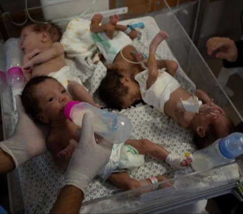 Potret Haru 28 Bayi Prematur Berhasil Dievakuasi dari Gaza ke Mesir, Kondisinya Memprihatinkan