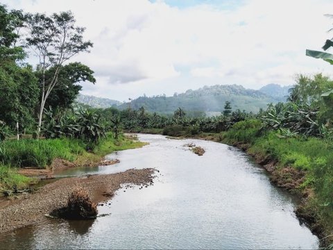 Tindakan Patih Sidopekso