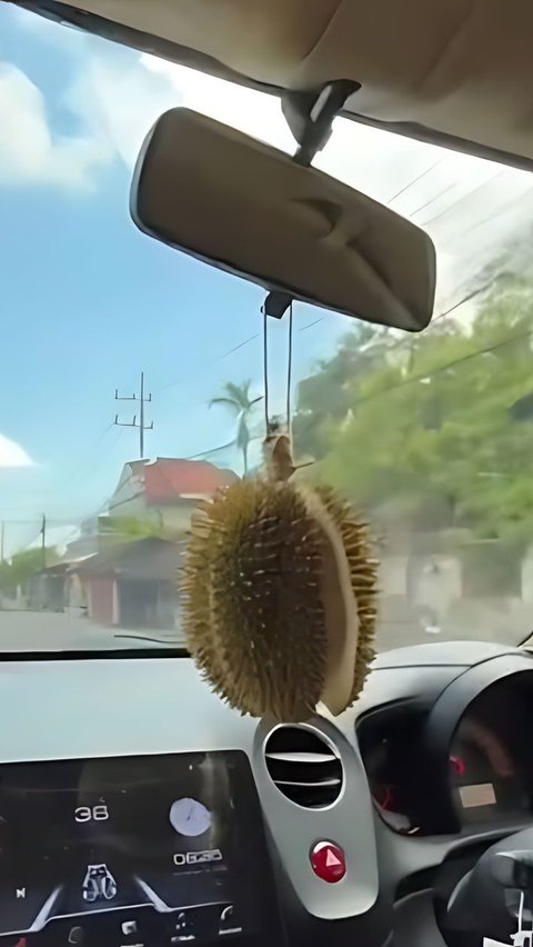 Agak Lain! Pengendara Gantung Durian Sudah Dibelah Sebagai Pengharum Mobil, Netizen: Baru Buka Pintu Langsung Pingsan