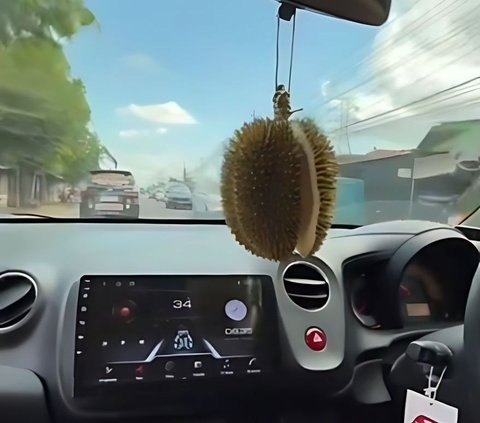 Agak Lain! Pengendara Gantung Durian Sudah Dibelah Sebagai Pengharum Mobil, Netizen: Baru Buka Pintu Langsung Pingsan