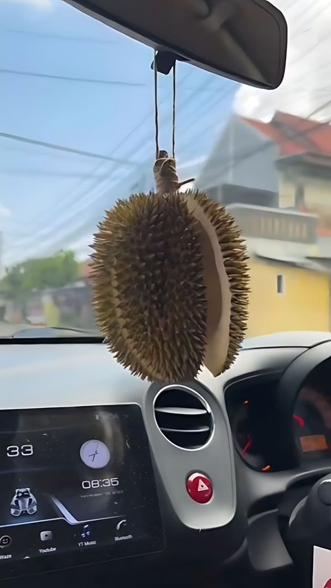 Agak Lain! Pengendara Gantung Durian Sudah Dibelah Sebagai Pengharum Mobil, Netizen: Baru Buka Pintu Langsung Pingsan