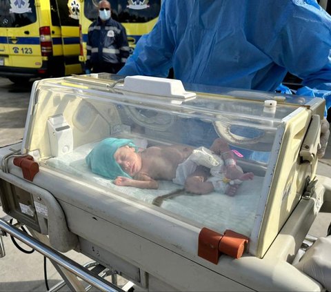 FOTO: Potret Puluhan Bayi Prematur Tanpa Orang Tua Dievakuasi dari RS Al-Shifa Gaza ke Mesir