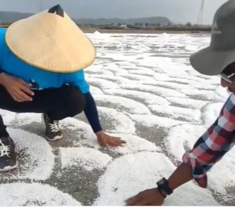 Unik, Seniman Rembang Ini Melukis di Tambak dengan Garam, Jadi yang Pertama di Indonesia