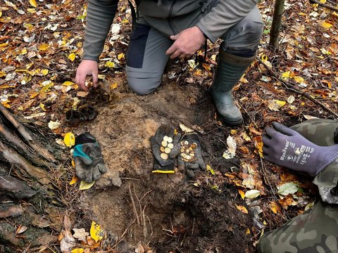 Tim Detektor Logam Temukan Harta Karun di Hutan Polandia, Nilainya Fantastis!