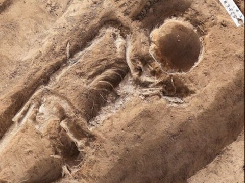 Viral Discovery of 1,000-Year-Old Woman's Skeleton with a Hole in Her Face!