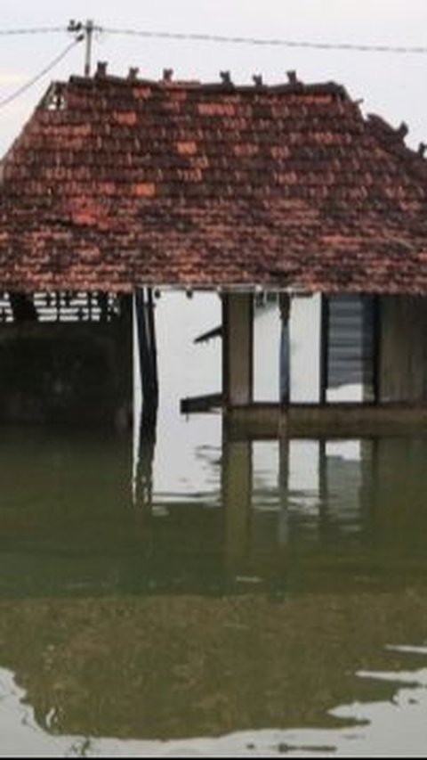 Prihatin Pesisir Demak Banjir Rob, Gerindra Jateng Klaim akan Diperbaiki Jika Prabowo Menang<br>