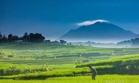 Mitos Gunung Lawu, Mulai Adanya Pasar Setan Hingga Pantangan Pakai Baju Hijau