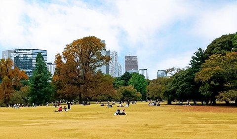 2. Sejarah Singkat Shinjuku Gyoen