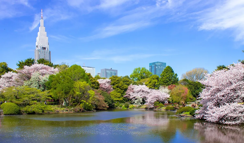 11. Waktu yang Tepat untuk Mengunjungi Shinjuku Gyoen di Musim Semi