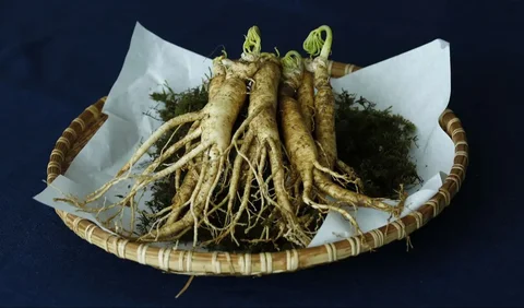 2. Ginseng untuk Elastisitas Kulit