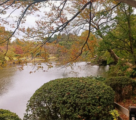 8. Selain gazebo dan paviliun, ada juga kolam bergaya Jepang yang membingkai dedaunan hijau khas musim panas.