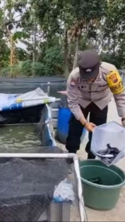 Inspiratif! Polisi di Boyolali Budidaya Lele Sejak Masa Pandemi COVID-19, Hasil Panen Dibagikan Gratis ke Warga