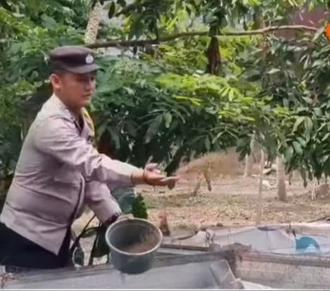 Inspiratif! Polisi di Boyolali Budidaya Lele Sejak Masa Pandemi COVID-19, Hasil Panen Dibagikan Gratis ke Warga