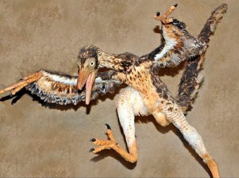 Ilmuwan Klaim Burung Kutilang adalah Keturunan Dinosaurus, Benarkah?