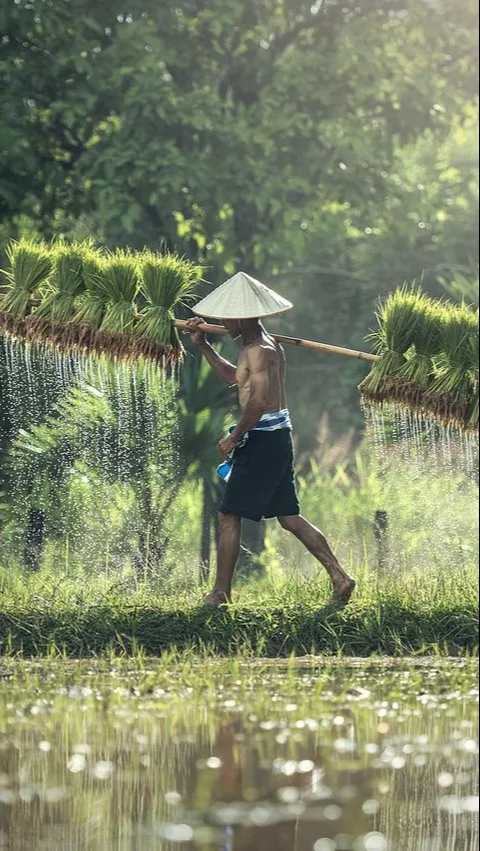 Sering Dianggap Remeh, Ini Daftar Petani Terkaya di Dunia