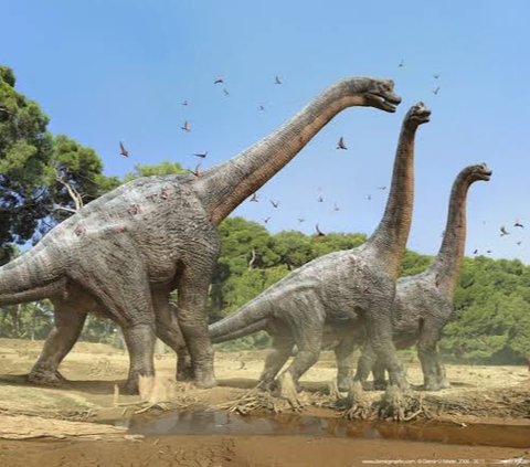 Ilmuwan Temukan Fosil Dinosaurus Terbesar di Bumi, Tingginya 24 meter