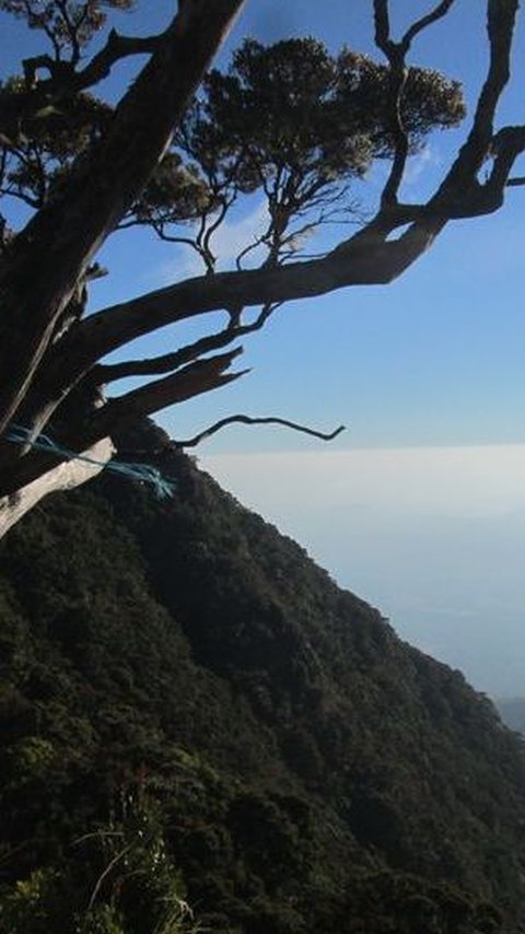 6. Pasar Anjaya antara Gunung Lompobattang dan Gunung Bawakaraeng<br>