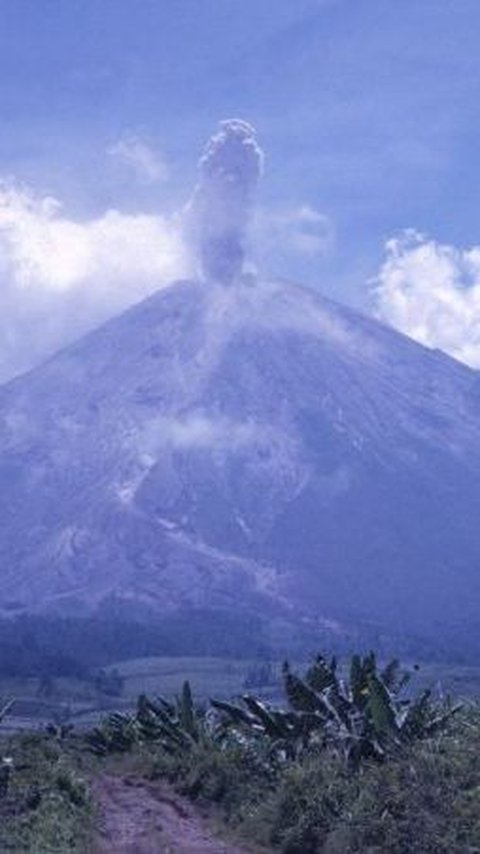 7. Pasar Setan Gunung Argopuro<br>